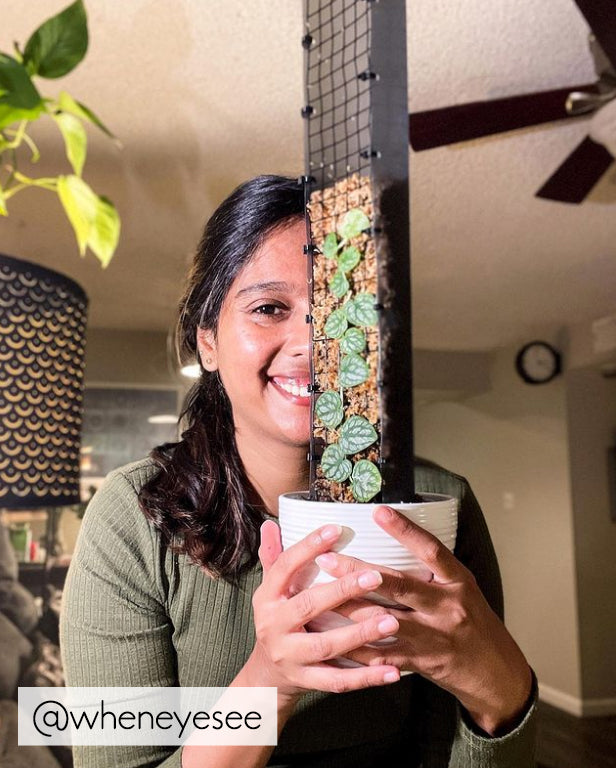 grow vertical moss pole Grow Vertical Propstick PRO