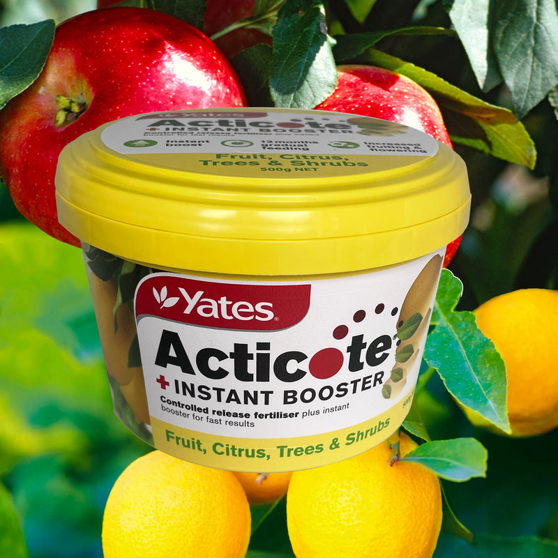 Yates Acticote + Instant Booster Fertiliser - Fruit, Citrus, Trees, Shrubs - 500g