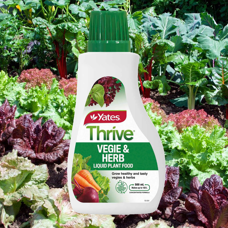 Yates Thrive Vegie & Herb Fertiliser - 500ml