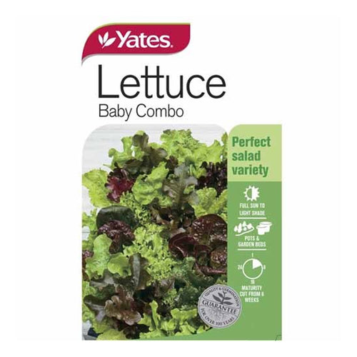 Lettuce Baby Leaf Combo - Seeds