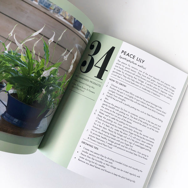 yates top 50 indoor plants Book