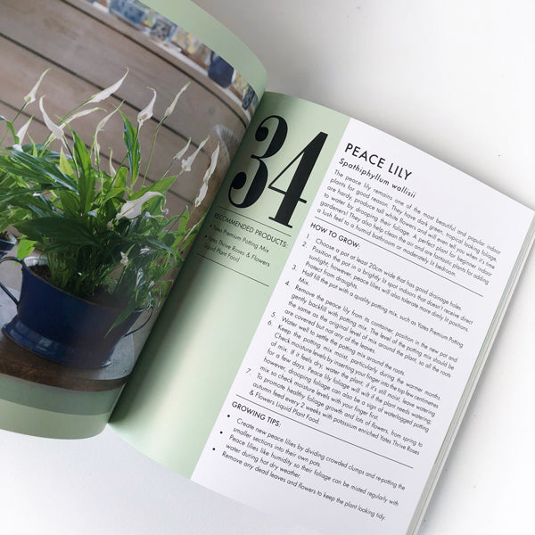 Book - Yates Top 50 Indoor Plants and How Not to Kill Them
