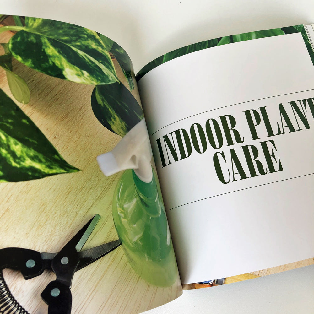 yates top 50 indoor plants Book