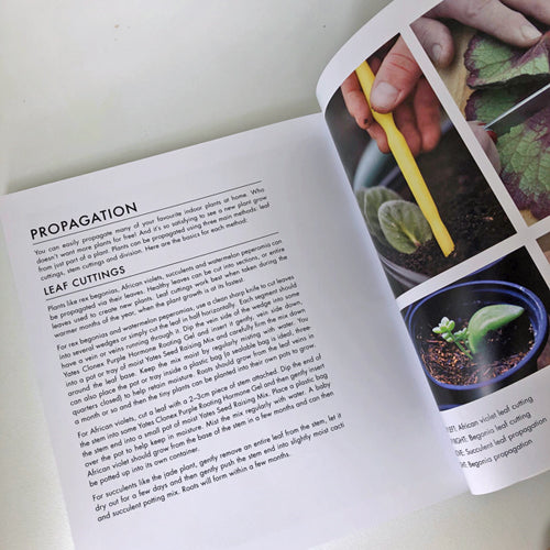 yates top 50 indoor plants Book