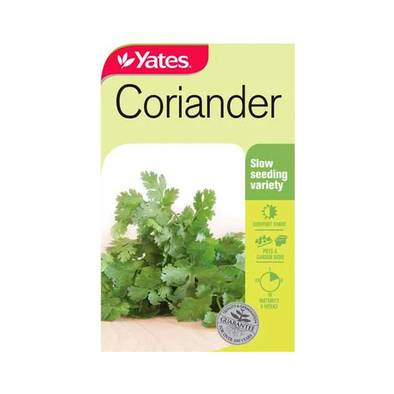 Coriander (Cilantro) - Seeds