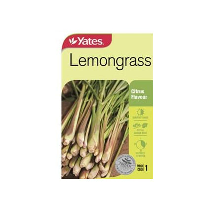 Lemongrass - Seeds