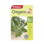 Oregano - Seeds