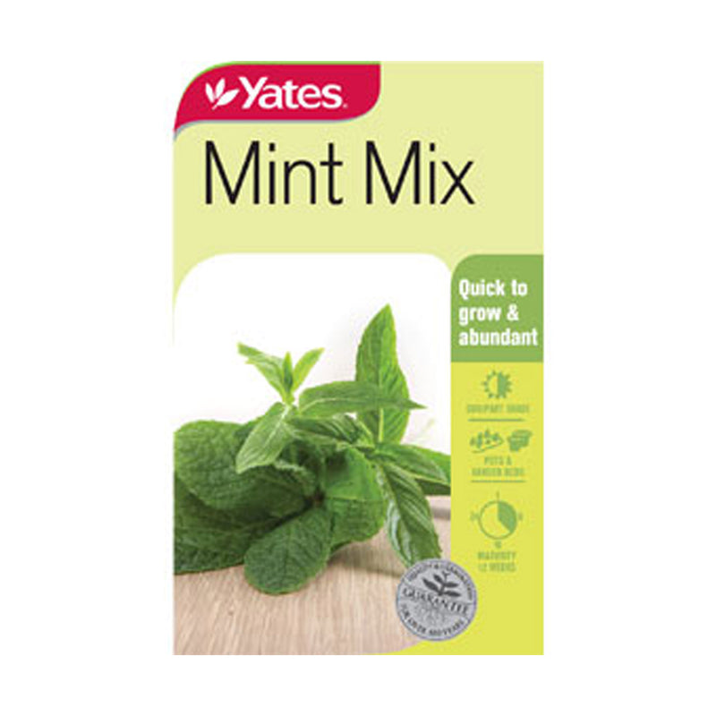 Mint Mix - Seeds (Peppermint, Spearmint, Curled Mint)
