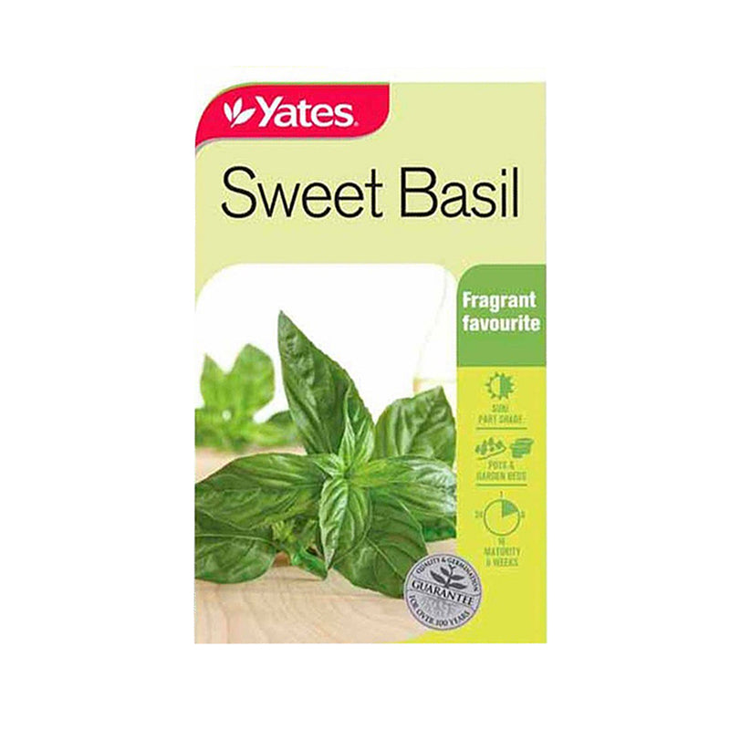 Sweet Basil - Seeds