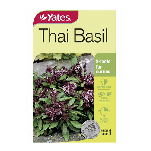 Thai Basil - Seeds