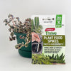 Yates Thrive Plant Food Spikes - Cacti & Succulents