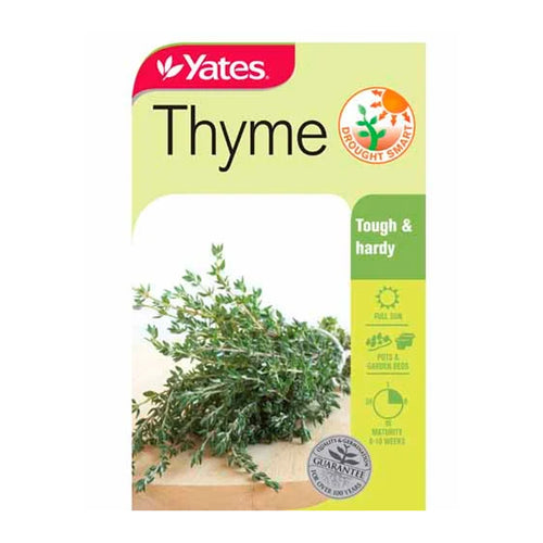 Thyme - Seeds