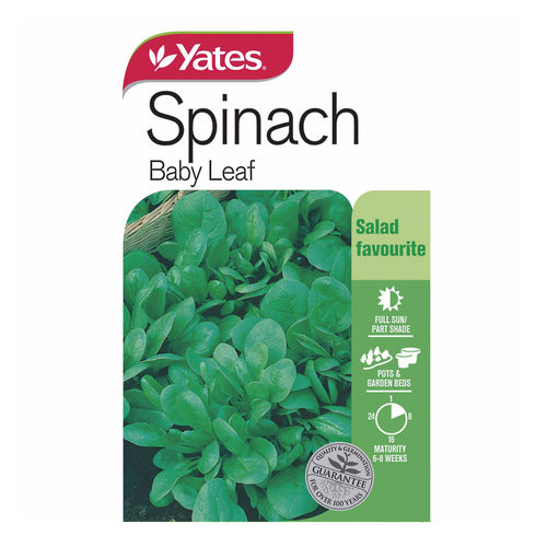 Baby Leaf Spinach - Seeds